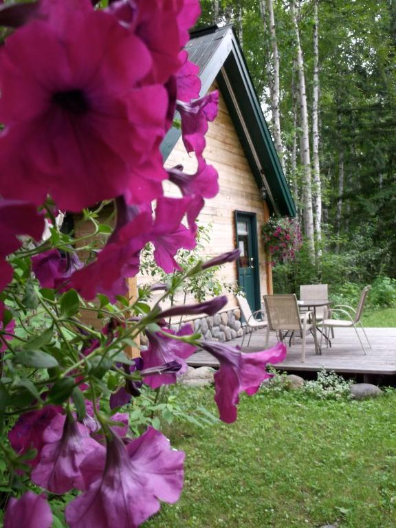 Across The Creek Cabins Clearwater Exterior photo